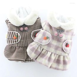 Dog Apparel 2024 Cat Pet Dress Winter Clothes Puppy Yorkshire Terrier Pomeranian Maltese Bichon Poodle Clothing