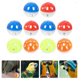 Other Bird Supplies 10 Pcs Cat Ball Hollow Bell Toys For Conures Plastic Parrot Medium Parrots