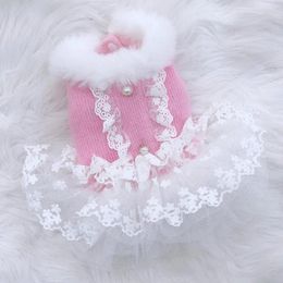 Dog Apparel Cute And Warm Dress Winter Cat Puppy Coat Outfit Female Costume Chihuahua Yorkshire Pomeranian Bichon Schnauzer Clothing