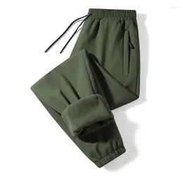 Men's Pants Plush Sports Straight Tube Loose Fitting Solid Colour Casual Wear Jogging Fashionable Large