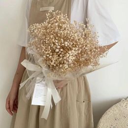 Decorative Flowers Natural Fresh Gypsophila Branches Dried Flower Wedding Decoration Arrangement Preserved Baby Breath Bouquet Home