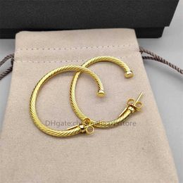 woman Hook Small Large earrings jewelry Gold designer earring Twisted luxury Wire bijoux free fashion shipping Earrings 925 Sterling Silver 18k Yellow Plated