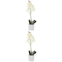 Decorative Flowers 2 Pieces Artificial Flower Phalaenopsis Office Decoration Lifelike Small Bonsai Fake Rose Livingroom Faux Pp Plants