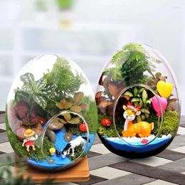 Vases 1Pc Creative Egg-shaped Glass Bottles Hydroponic Fleshy Micro Landscape Terrarium Succulent Vase Moss Home Decor