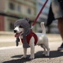 Dog Apparel Knitted Hat Pet Headgear Hats Small Costume Decorative Yarn Dress Headdress Men Women Scarves