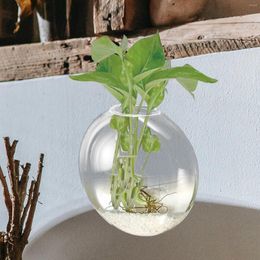 Vases Hydroponic Vase Hanging Terrarium Glass Planter Small Pots For Plants Tall Holder Wall Flowers