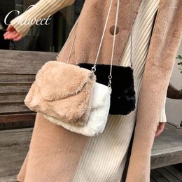 Shoulder Bags Korean Style Women Winter Artificial Fur Bag Small Chain Messenger Brand Soft Luxury Handbags Clutch