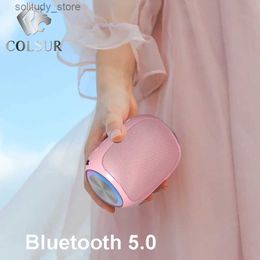 Högtalare Pink Portable Bluetooth Box Outdoor Speaker Waterproof 10W Bass Support TF Card Q240328