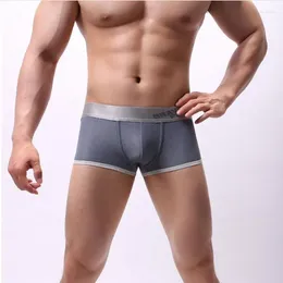 Underpants Brand Men's Underwear Nylon Solid Colour Men Briefs Low Waist Sexy For Man 2024