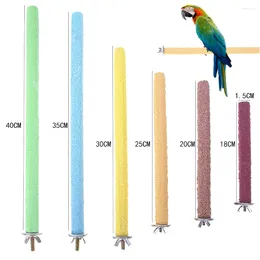 Other Bird Supplies Colourful Parrot Standing Stick Non-toxic Claw Eco-friendly Creative Reusable Durable Funny Portable Pet