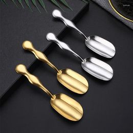Tea Scoops Stainless Steel Minimalist Small Spoon Household Set Accessories Powder Shovel Coffee