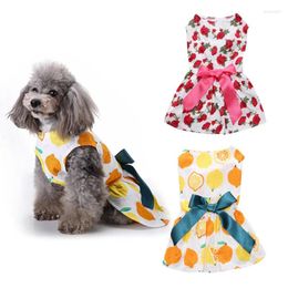 Dog Apparel Cute Fruit Ribbon Bow Dress Clothes Comfortable Sleeveless Shirt Pet Beach Princess Party Puppy Skirt