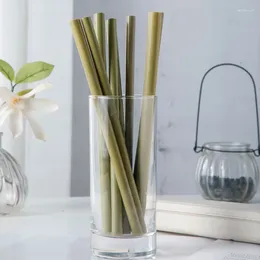 Drinking Straws Pack Of 10 Reusable Bamboo Straw With Cleaning Brush Eco Friendly Natural Bar Party Accessories