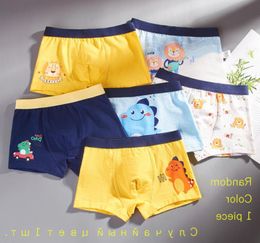 1 Piece Pure Cotton Boys Boxer Underpants Big Childrens Panties Cozy Children039s Underwear Mid Small Baby Panty Boy Shorts13521395509537