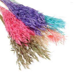 Decorative Flowers Natural Pampas Real Wheat Ear Grass Colourful Tail Dried Wedding Bouquet Arrangement Party Decor 10/30PCS