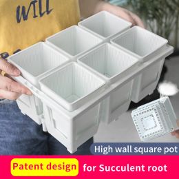 Planters High Wall Succulent Pots Cactus Planter Indoor Outer Door Home Decoration Plastic Flower Pots with Drainage and Air Holes