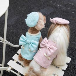 Abbigliamento per cani Vestiti per ragazza carina Cappello invernale Costumi piccoli Barboncino Bichon maltese Yorkie Schnauzer Pomerania Shih Tzu Abbigliamento