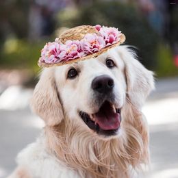 Dog Apparel Pet Flower Straw Hat Spring Summer Sunhat Cute Woven Costume Accessory