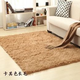 Carpets B1821 Ashionable Carpet Bedroom Cloakroom Lounge Mat Living Room Sofa Coffee Table