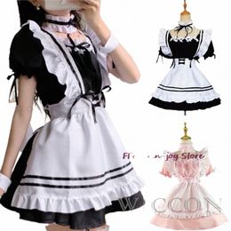 japanese Maid Uniform Lovely Girl Student Lolita Dr Cosplay Costume Sweet Cute Cat Cafe Princ Harajuku Kawaii Lingerie X1XD#