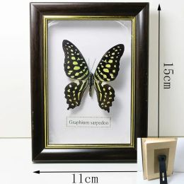 Sculptures Real Butterfly Specimens Rectangular Threedimensional Photo Frame Home Decorations Collectible Specimens Living Room Decoration
