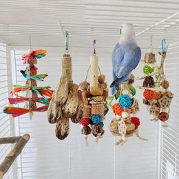 Other Bird Supplies Hanging 2024 Bite Resistant For Macaws Parrots Wooden Foraging Toy Parrot Cockatiel Swing Climb Stand