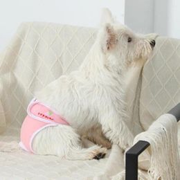 Dog Apparel Heat Cycle Diapers Breathable Mesh Female Leak-proof Water-absorbed Pet Menstrual Pants For Incontinence