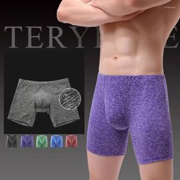 Underpants Sexy Underwear Men Boxer Long Leg Shorts Man Solid Breathable Mid-rise U Convex Pouch Cueca Masculina S-XL