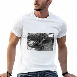 twisted Wood in the Canylands T-Shirt shirts graphic tees plain sports fans funnys black t shirts for men 02y3#