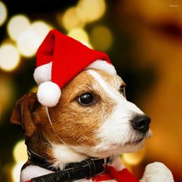 Dog Apparel 4pcs Pet Christmas Hat Decor Beautiful For Festival (Red)