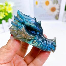 Sculptures 8CM Natural Labradorite Dragon Skull Carving Fashion Home Decoration Healing Crystal Powerful Energy Wicca Decor Gift 1PCS