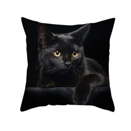 Cushion/Decorative Pillow 45 X45Cm European Luxury Veet Cushion Chair Of Sofa Er Black Cat White Printing For Home Decoration Square 1 Dhlh8