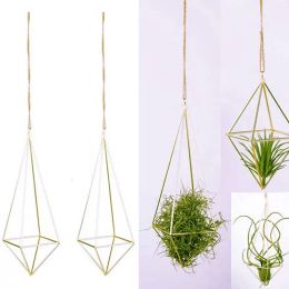 Planters 4 Packs Air Plant Hanging Holder Himmeli Decor Geometric Planter Hanging Airplants Rack Tillandsia Hanger Stand