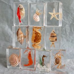 Sculptures 12pcs Natural insect specimens resin marine animal specimens home accessories home decoration accessories figurine fish beetles