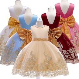 Sweet Blue Pink Wine Champagne Jewel Applique Girl's Birthday/Party Dresses Girl's Pageant Dresses Flower Girl Dresses Girls Everyday Skirts Kids' Wear SZ 2-10 D328247