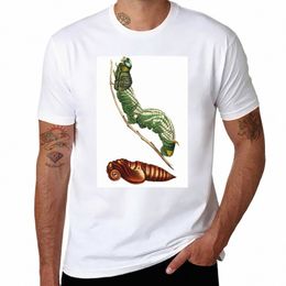 sphinx Moth and Pupa T-Shirt plain sublime sweat t shirts for men cott Y8xN#