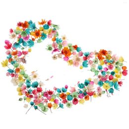 Decorative Flowers Dried Flower Crafts Small Star Head DIY Crystal Glue Without Pole Glass Ball Filling Colour Pink Decor