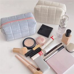 Storage Bags 2024 Women Cosmetic Soft Plush Bag Fluffy Makeup Travel Wash Handbag Lady Gift