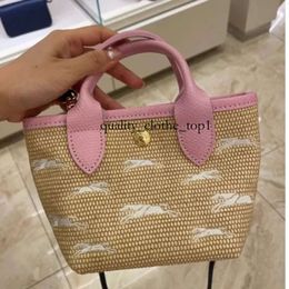 Longchammp Tote Bag Designer Bags Shopping Crossbody Beach Fashion the Champ Totes Waterproof Nylon Ladies Shoulder Bag Folding Beach Travel Bag for Work 666