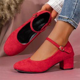 Dress Shoes Women High Heels Mary Janes Suede Summer Sandals Fashion 2024 Chunky Walking Pumps Casual Retro Femme Zapatillas