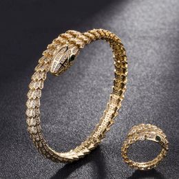 Silver Colour Men Bangles Snake Animal Bangle & Ring Jewellery Brand cubic Zircon Love Bangle Anel Men Anniversary Jewelry247M