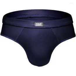 Underpants Super Soft Underwear Sexy Men's Briefs Slip Man Panties U Convex Brief Solid Classic Cuecas Plus Size