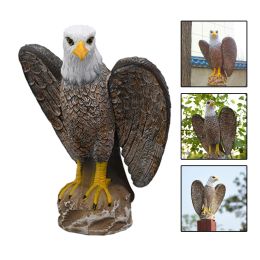 Sculptures Eagle Decoy for Farm Yard Bird Against Pigeon Control