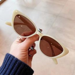 Sunglasses Cat Eye Shape Sun Glasses For Men Women Vintage Style UV400 Protection Candy Colour Outdoor