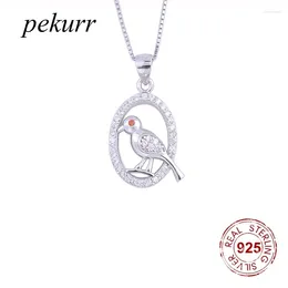 Pendants Pekurr 925 Sterling Silver Oval Round Sparrow Bird Necklace For Women Zircon Hoop Pigeon Collar Fine Jewellery
