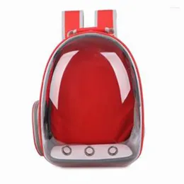 Cat Carriers Pet Space Bag Carrying Pets Backpack Breathable Portable Transparent Puppy Dog Transport