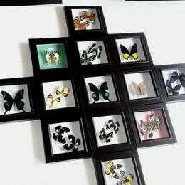 Sculptures Real Butterfly Specimen Photo Frame Birthday Gift Small Ornaments Handicrafts Home Decoration Sculpture Living Room Decoration