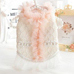 Dog Apparel Puppy Skirt Autumn Winter Fashion Princess Dress Pet Cute Desinger Clothes Small Soft Shirt Cat Vest Yorkshire Chihuahua