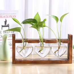 Sculptures Glass Wood Vase Planter Terrarium Table Desktop Hydroponics Plant Bonsai Flower Pot Hanging Pots with Wooden Tray