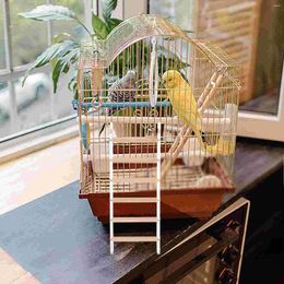 Other Bird Supplies Parrot Climbing Ladder Step Toy Cage Parakeet Training Acrylic Wooden Long Tail